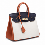 Sloane Pebbled Calfskin Top-Handle Bag in Navy Colorblock